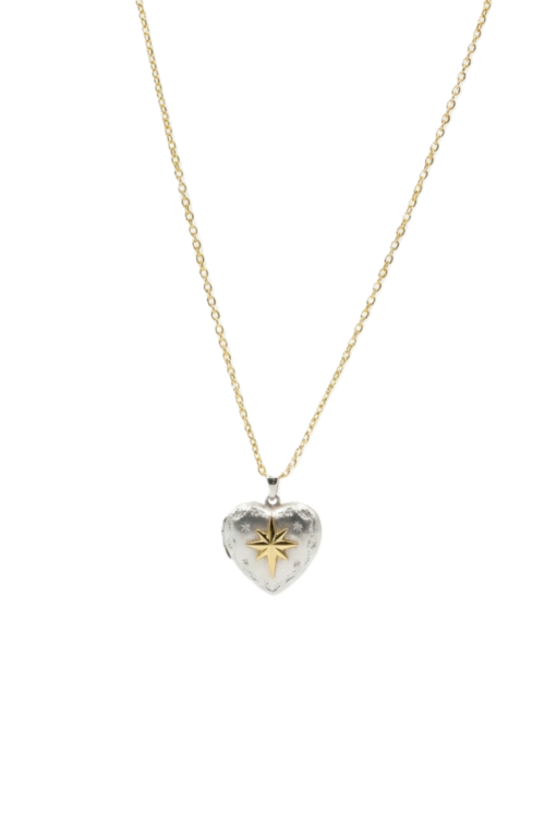 Minimal Tasarım Kadın Madalyon Anı Kolyesi Kalp Gümüş Renk 316L Çelik Hediye Kutulu Şık Tasarımlı